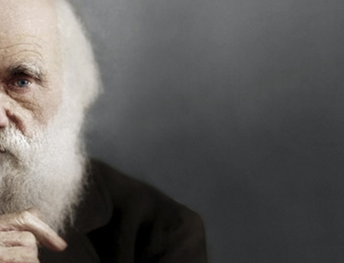 Charles Darwin, ¿emblemático o adaptador?